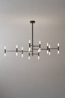 Venicem Roots Chandelier