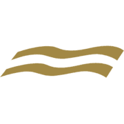 BCM ILLUMINAZIONE logo