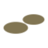 BEL LIGHTING logo