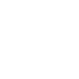FERROLIGHT logo