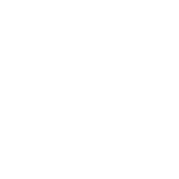 FERROLIGHT logo
