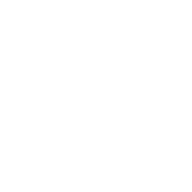 PIETER ADAM logo