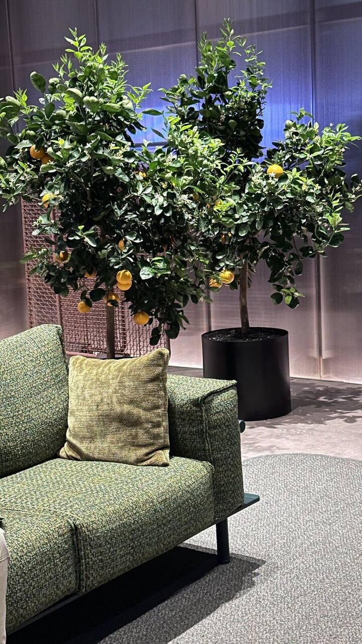 Varaschin at Salone del Mobile 2026 — Italian outdoor furniture with character