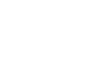VG NEW TREND